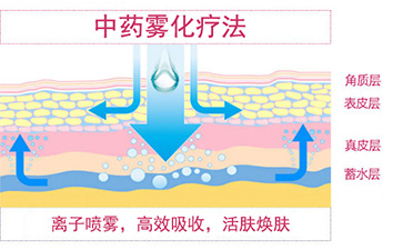 中医辨证检测