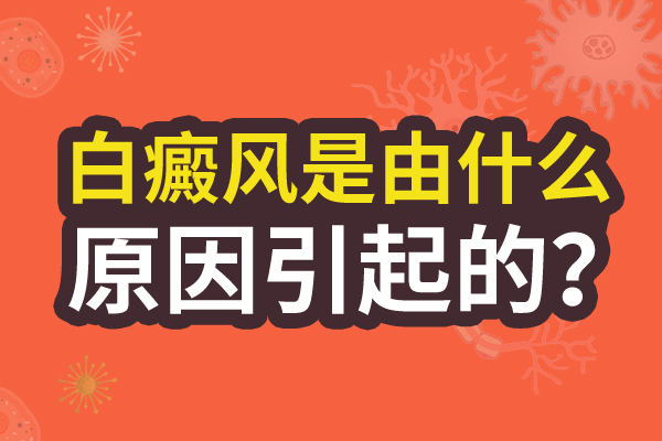 为什么胸部会长白癜风?